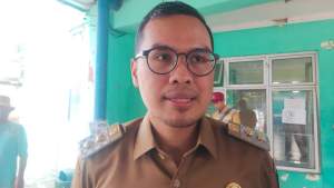 Wakil Walikota Tangsel, Pilar Saga Ichsan