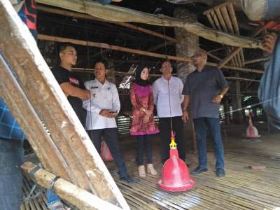 Dikeluhkan Warga, Peternakan Ayam di Kasemen di Tutup