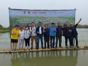Kolaborasi Bersama dalam Penanam pohon Mangrove.