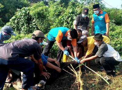 Pemkot Cilegon Bagikan Daging Kurban untuk Honorer dan Warga Sekitar