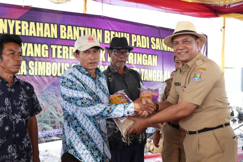 Gapoktan Mauk Terima Bantuan 6 Ton Benih Padi