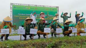 Kolaborasi BI Banten dan Pemprov, Panen Bersama  Luas 1 Hektar Hasilkan 13,5 Ton Bawang Merah