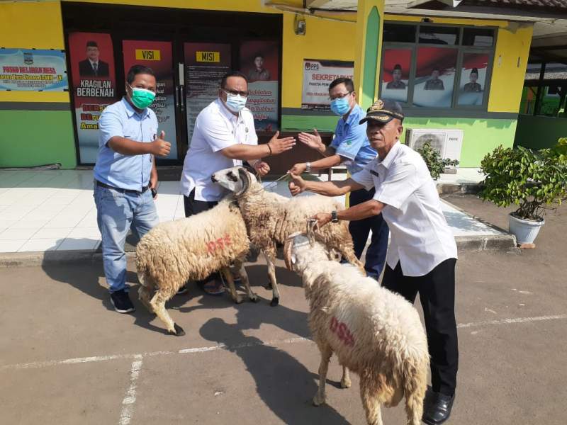 IKPP Serang dan DSS Salurkan Bantuan Hewan Kurban